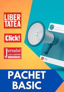 ziarul Pachet Basic licitatii